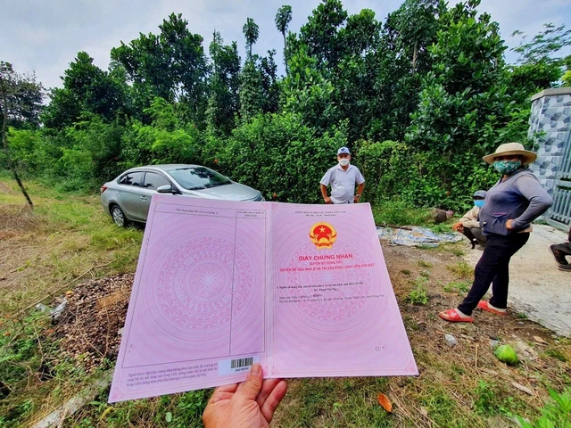 Chỗ nào cũng chê “đắt”, người đàn ông 6 năm không mua được nhà, nhìn lại giá đã tăng gấp nhiều lần thumbnail